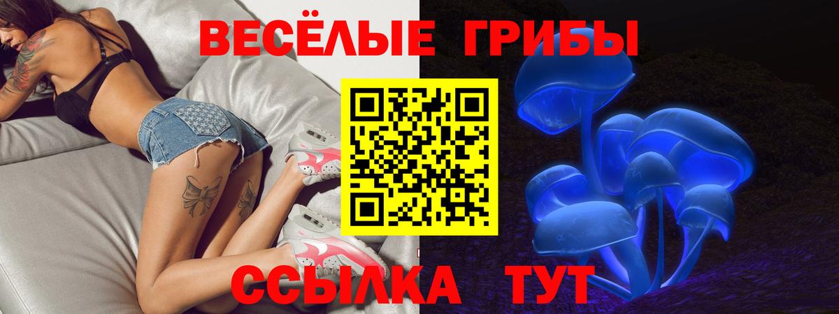 где купить наркоту  Псилоцибиновые грибы GOLDEN TEACHER  Вход с VPN  Дальнереченск  Галлюциногенные грибы GOLDEN TEACHER 